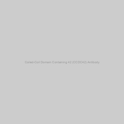 Abbexa - Coiled-Coil Domain Containing 42 (CCDC42) Antibody